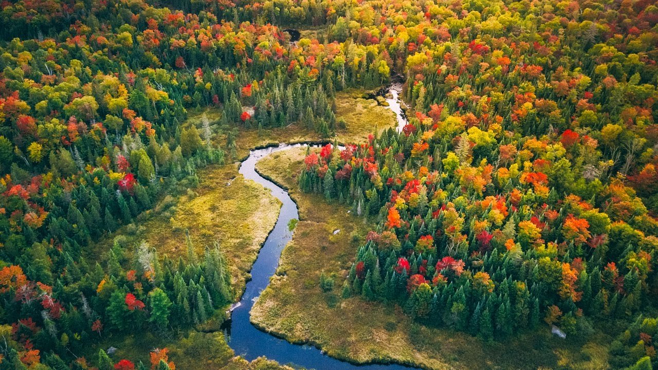 Exploring Canada's Wilderness: National Parks and Wildlife